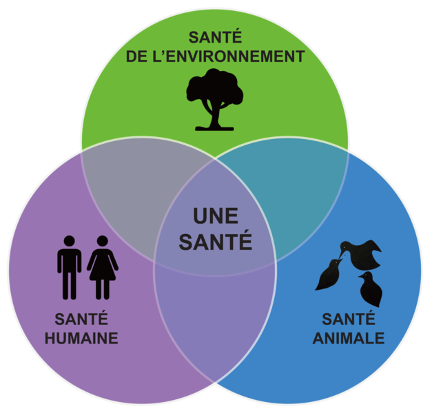 logo Une Sante -JLJustine